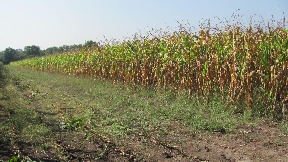 Podsticaji za poljoprivrednike